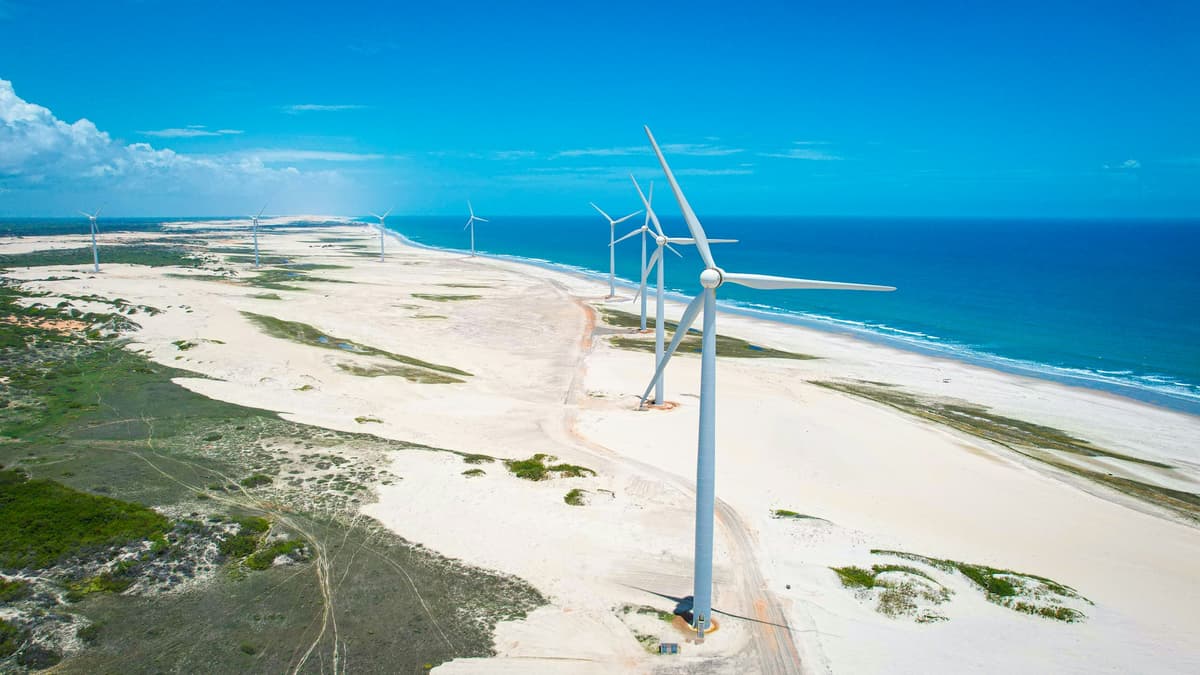 A representation of Thornbill's innovative spirit, based in Melbourne